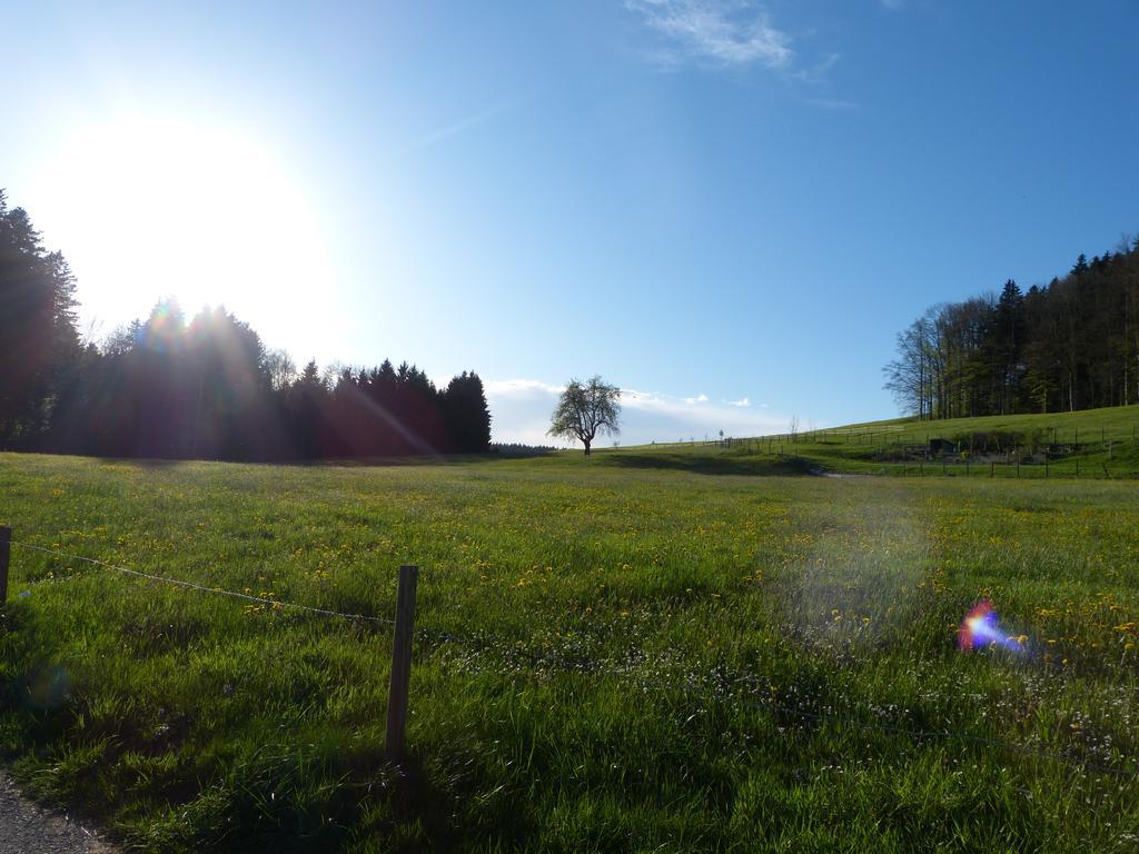 Landgasthof Santisblick Hotell Abtwil Exteriör bild